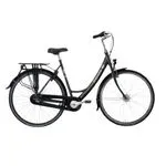 Adult Dutch bike