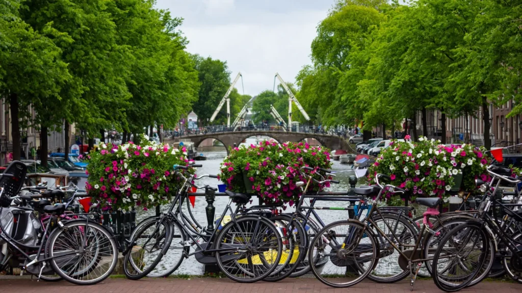 Amsterdam biking